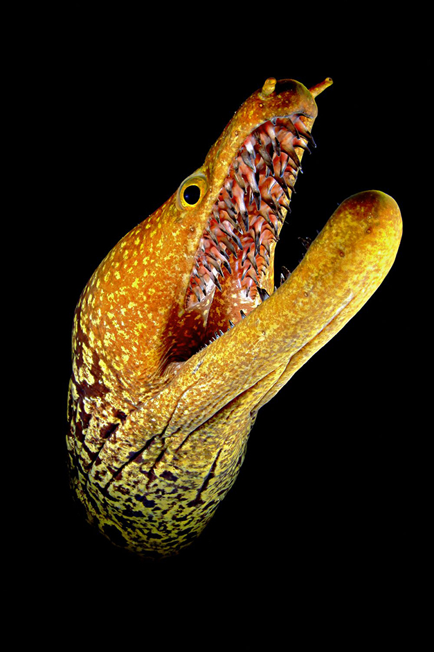 CROPIX/Marcos Gonzalez