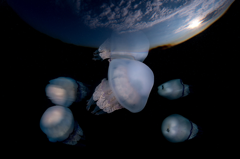 CROPIX/Marc Casanovas Felix