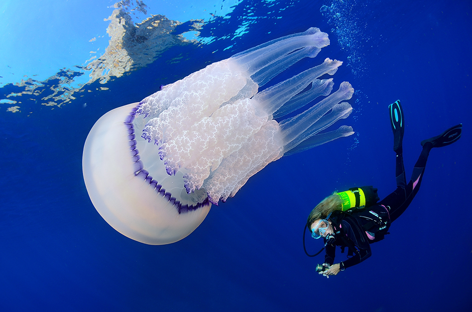 CROPIX/Marc Casanovas Felix