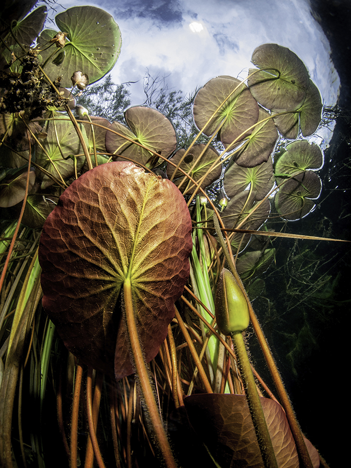 CROPIX/Heinz Erich Zappel