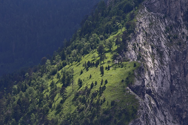 photoby Andrija Vrdoljak WWF Canon NP sutjeska 1