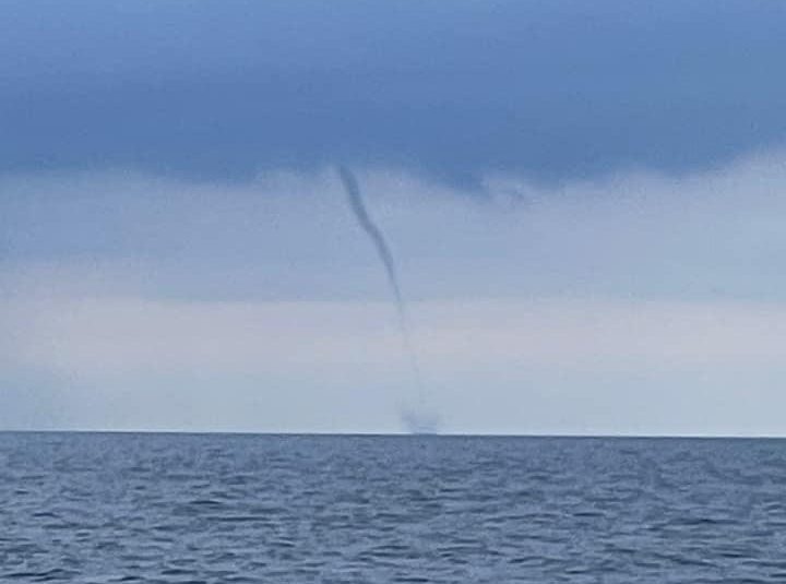 pijavica-e1623055353209