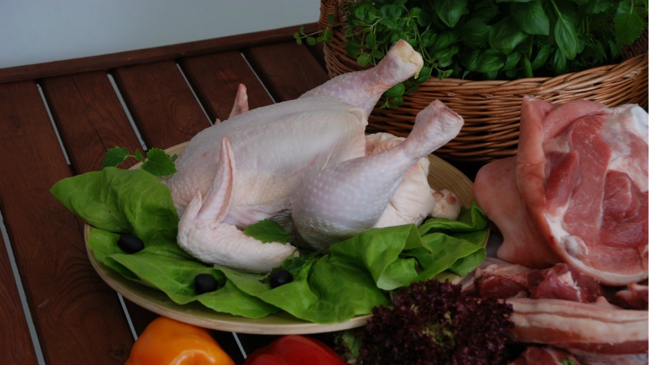 pile piletina MaJaKDS