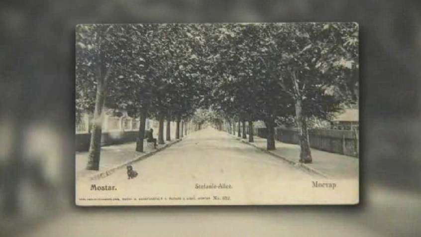 platani mostar