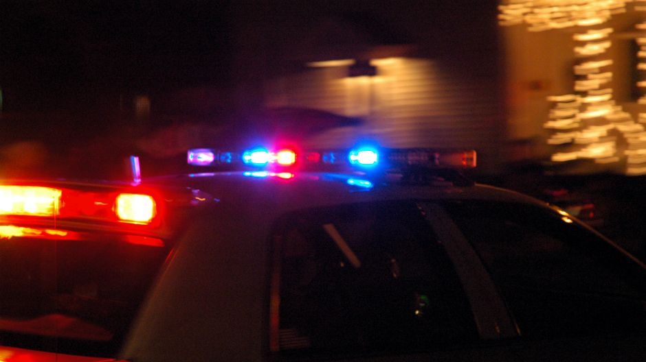 policija svjetla uzbuna ilust