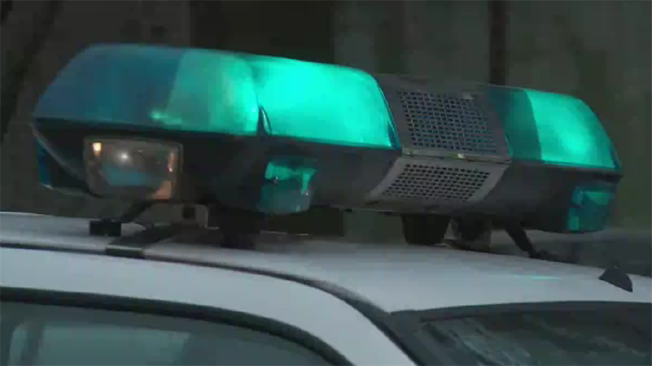 policija svjetlo sirena1