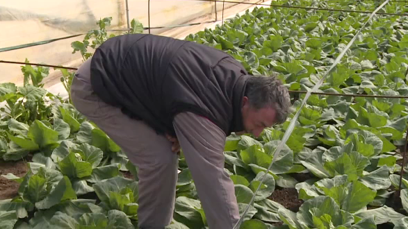 poljoprivreda u mostaru