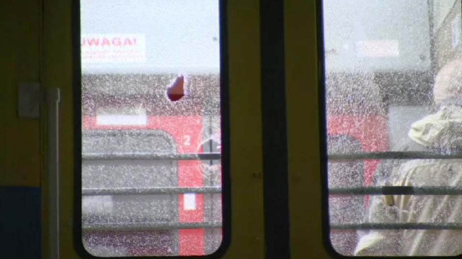 poljska voz huligani