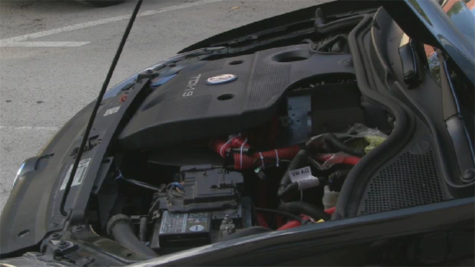 polo motor