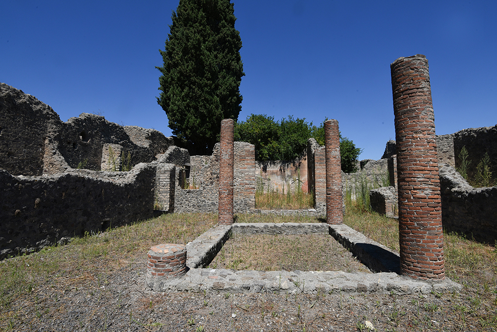 PIXSELL/Davor Višnjić