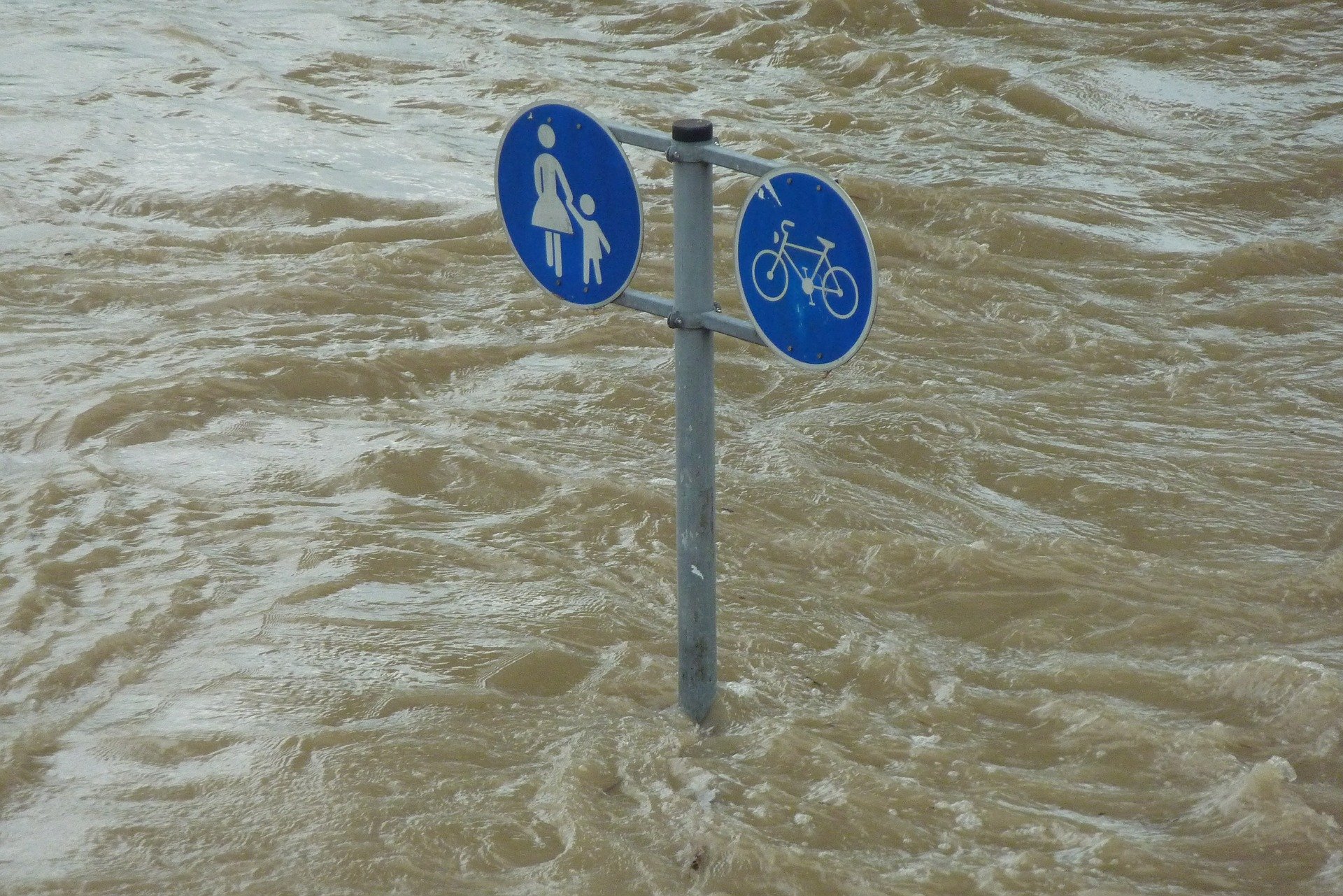 poplave