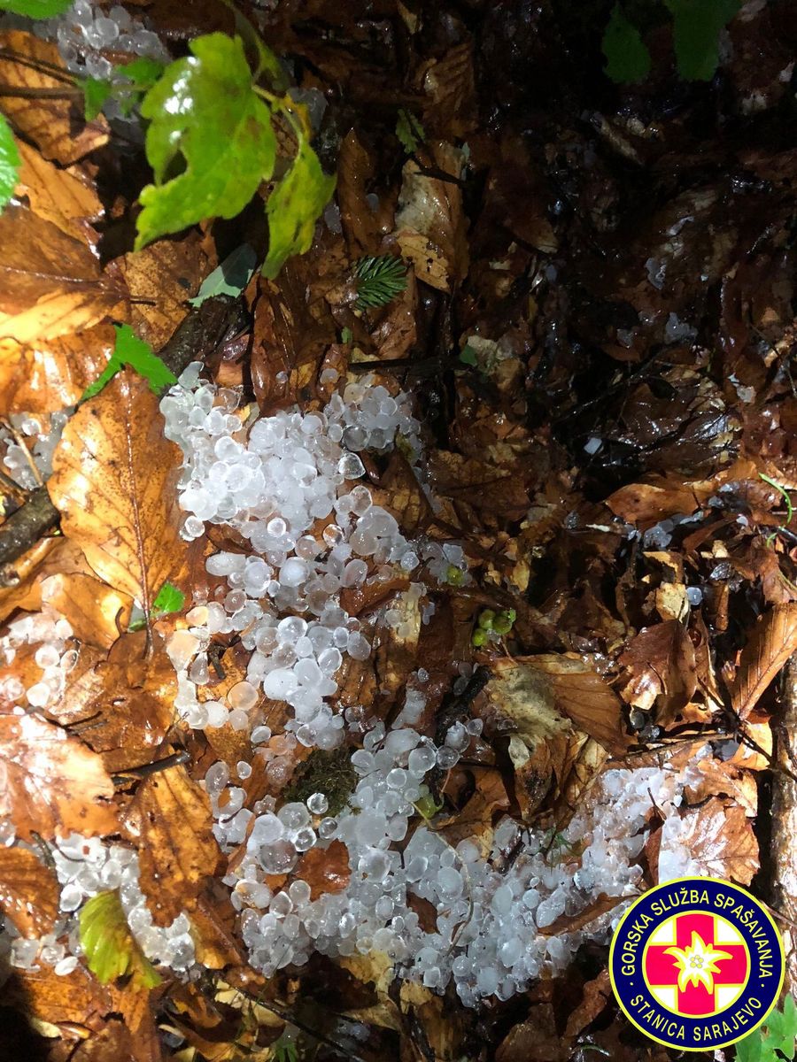 PotragaBukovik_Brestovaca02