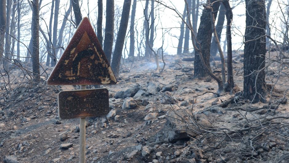 pozar_merlin1-210715