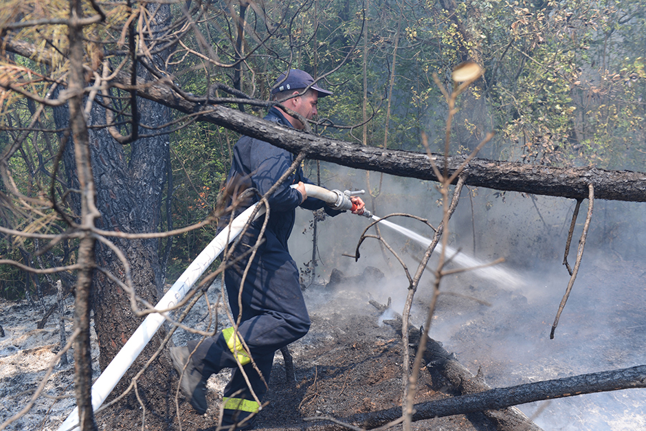CROPIX/Tonči Plazibat