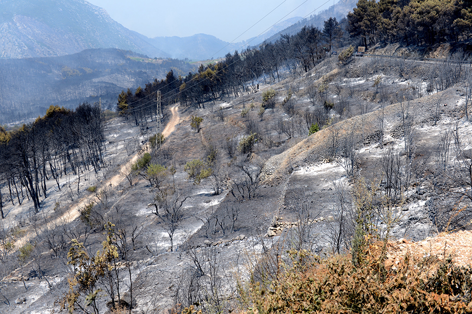 pozar_peljesac4-210715