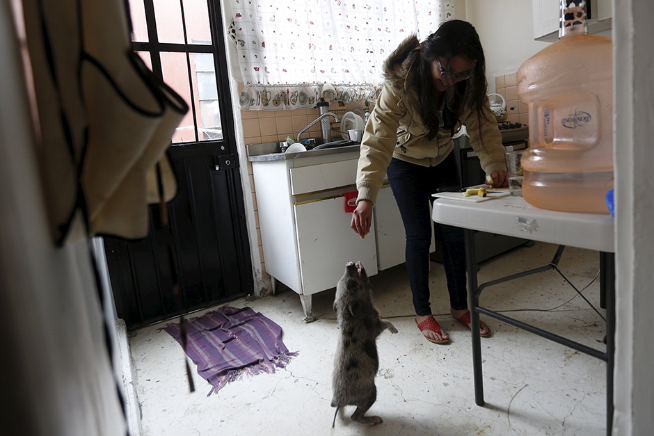 REUTERS/Edgard Garrido