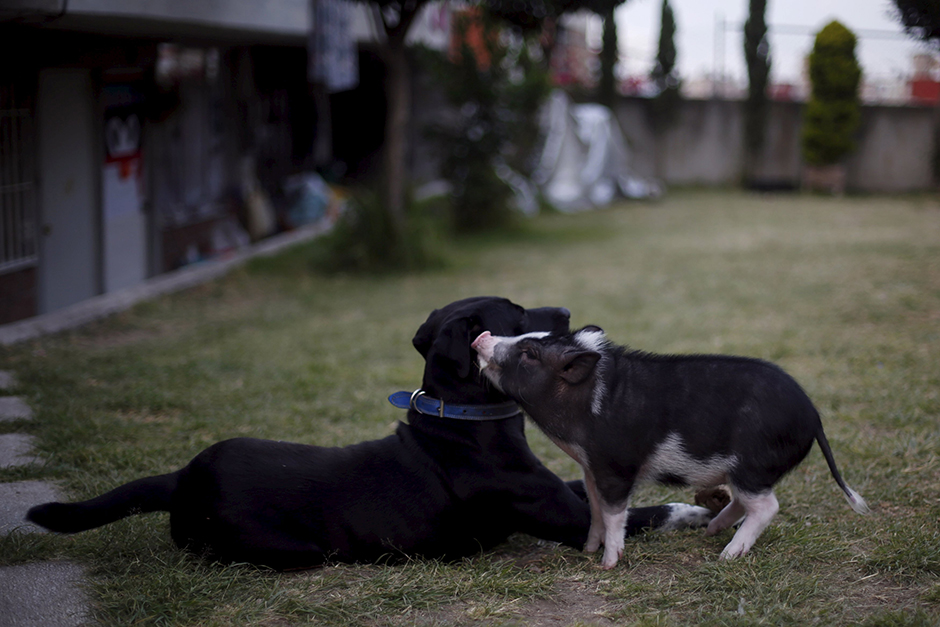 REUTERS/Edgard Garrido