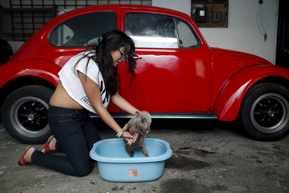 REUTERS/Edgard Garrido