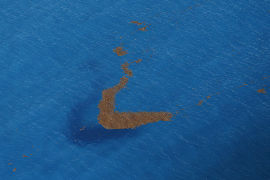 REUTERS/Edgard Garrido