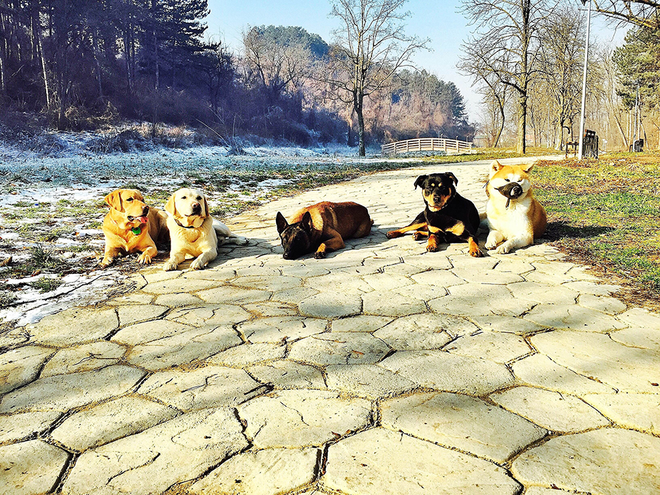 ANADOLIJA/Erkin Keci