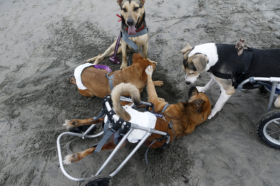 REUTERS/Mariana Bazo