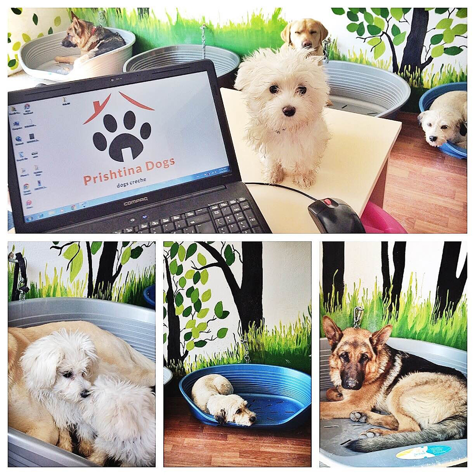 ANADOLIJA/Erkin Keci