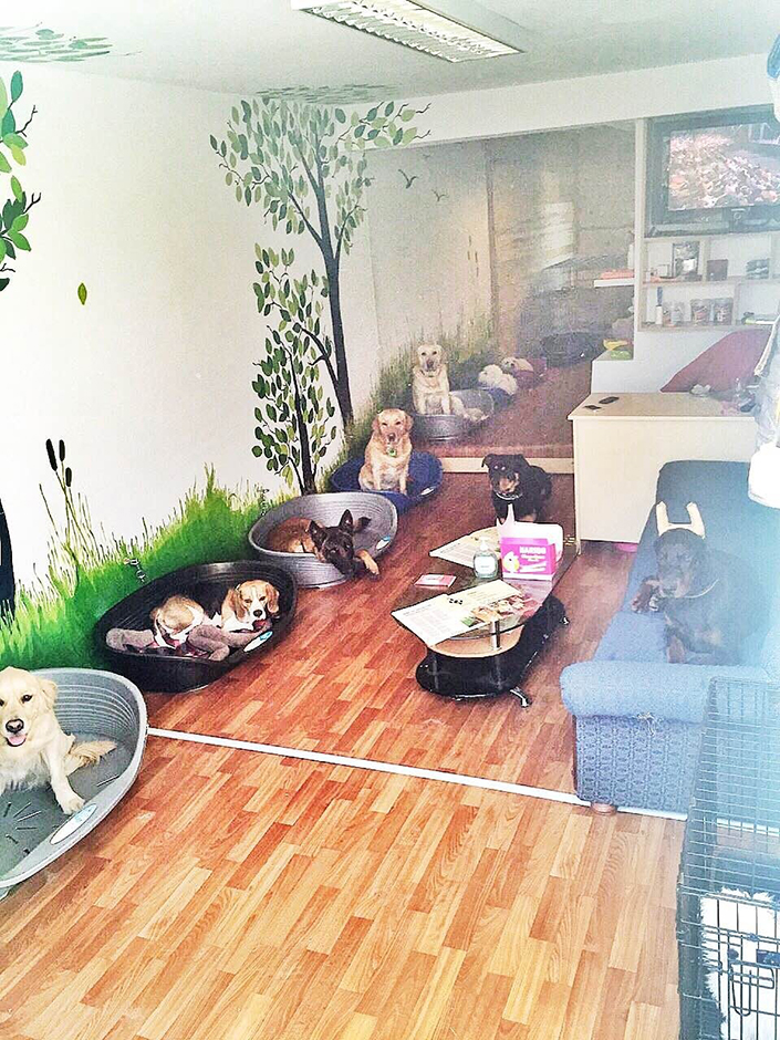 ANADOLIJA/Erkin Keci