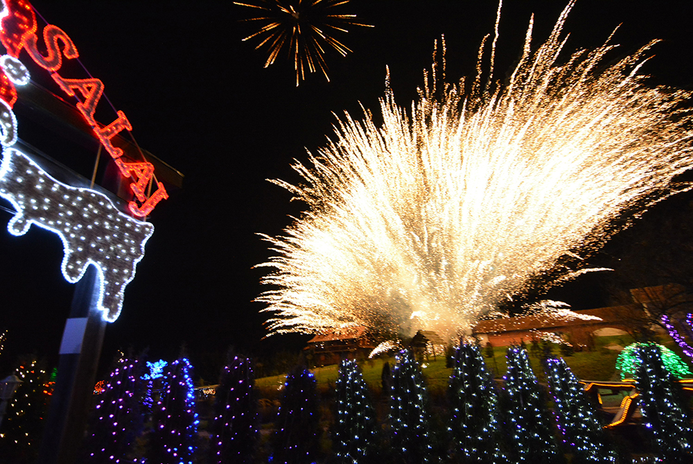 PIXSELL/Damir Spehar