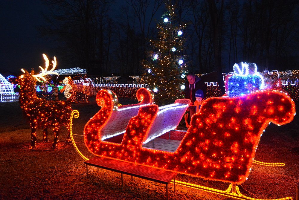 PIXSELL/Damir Spehar