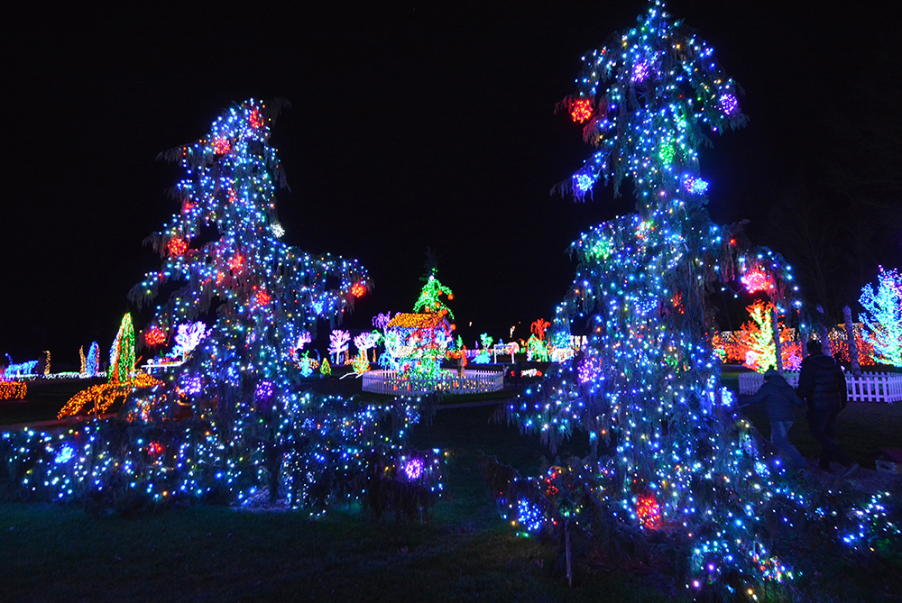 PIXSELL/Damir Spehar