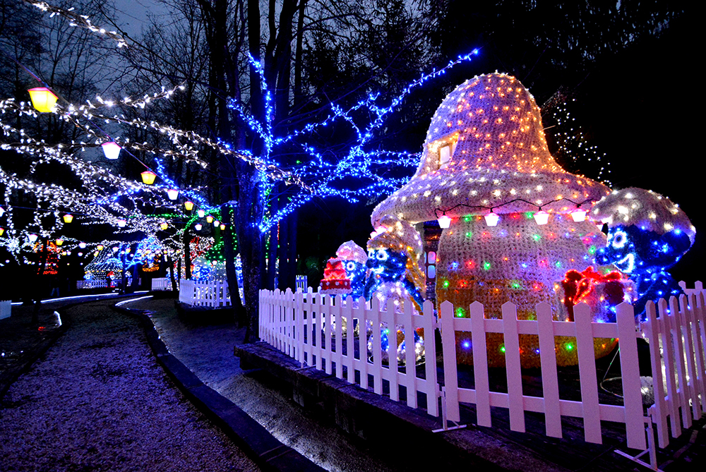 PIXSELL/Damir Spehar