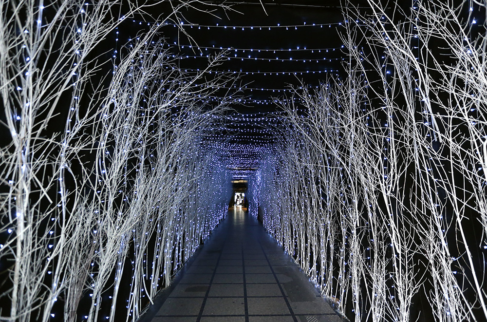 Sanjin Strukic/PIXSELL