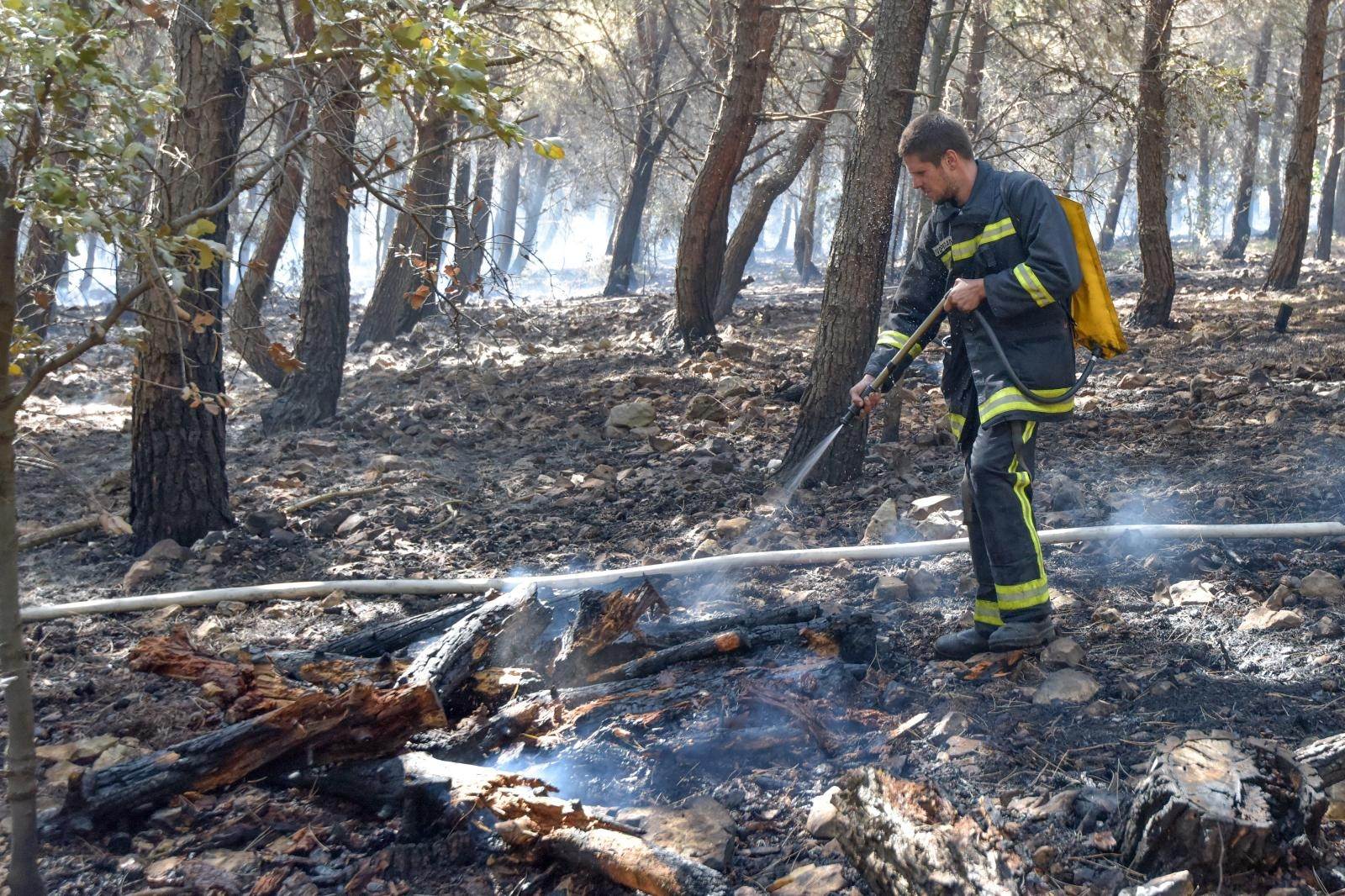 PXL_160719_25402733-1-