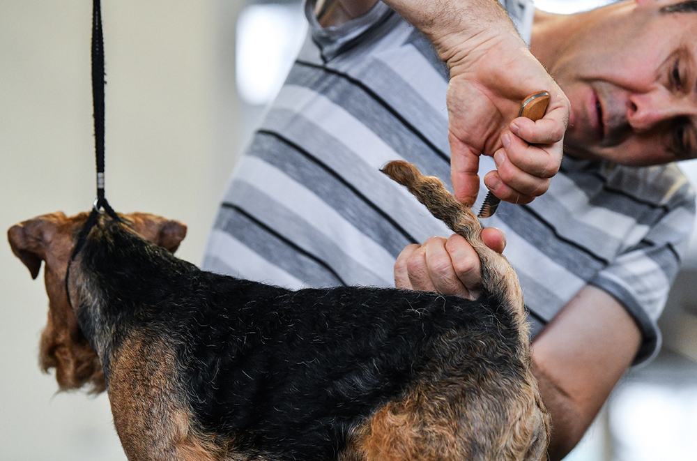 PIXSELL/Sandra Simunovic