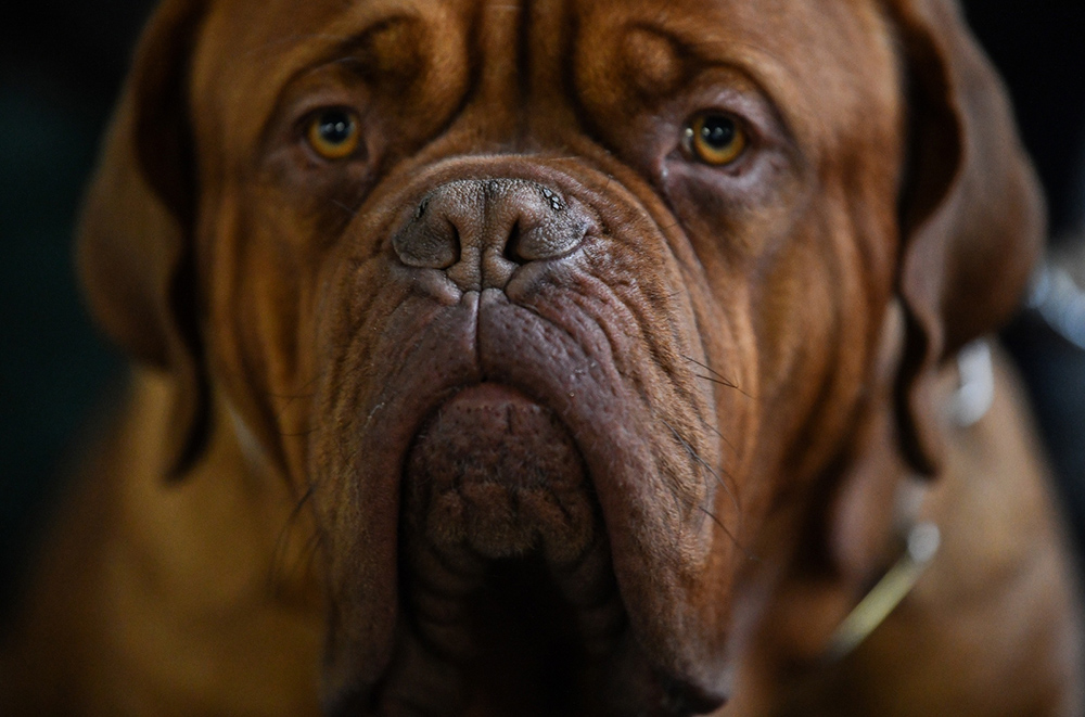 PIXSELL/Sandra Simunovic