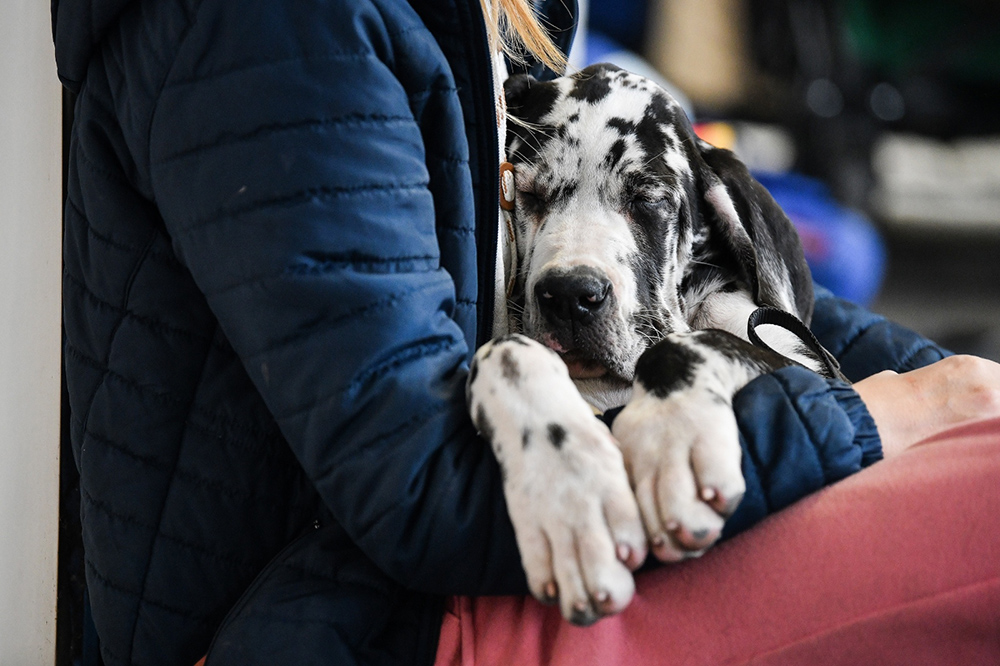 PIXSELL/Sandra Simunovic