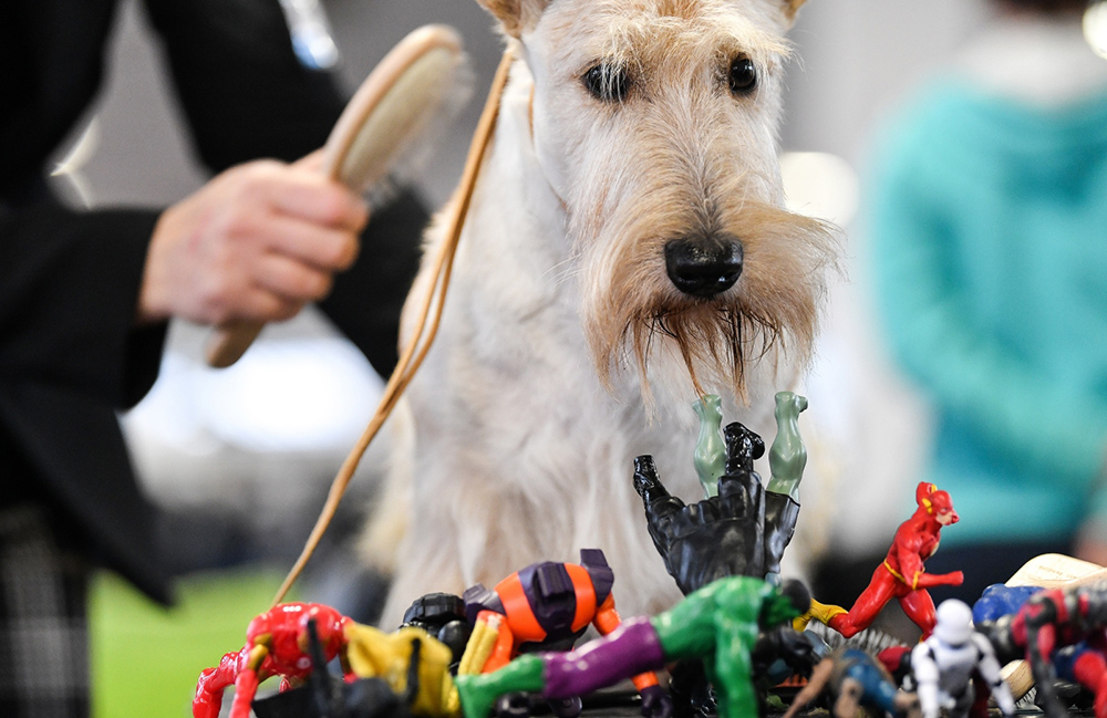 PIXSELL/Sandra Simunovic