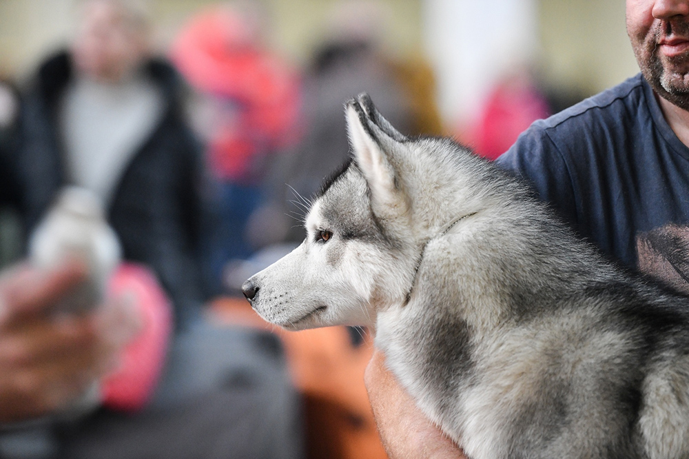 PIXSELL/Sandra Simunovic