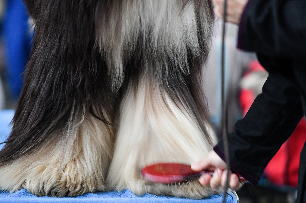 PIXSELL/Sandra Simunovic