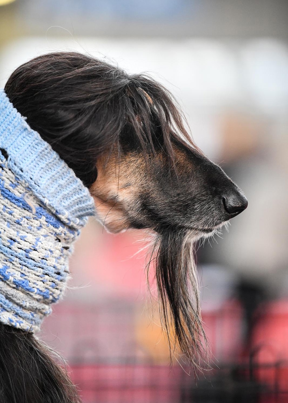 PIXSELL/Sandra Simunovic