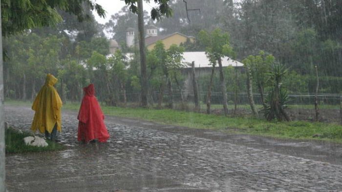 rain