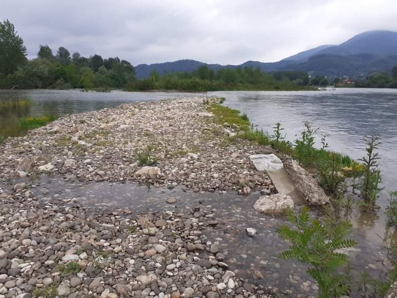 received_3213256838726297