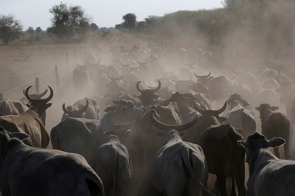 REUTERS/JORGE ADORNO