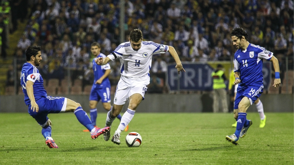 repka10.jpg