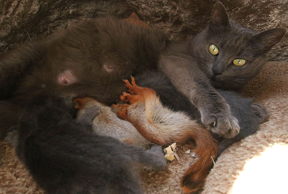 REUTERS/Alexey Pavlishak