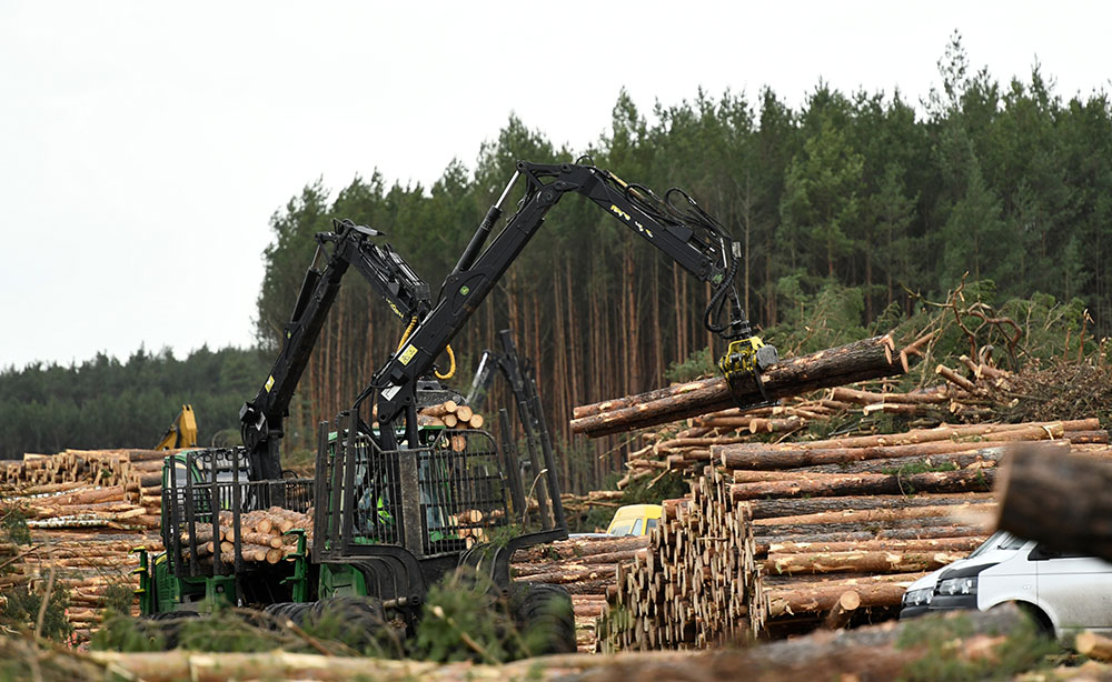 REUTERS ANNEGRET HILSE (1)