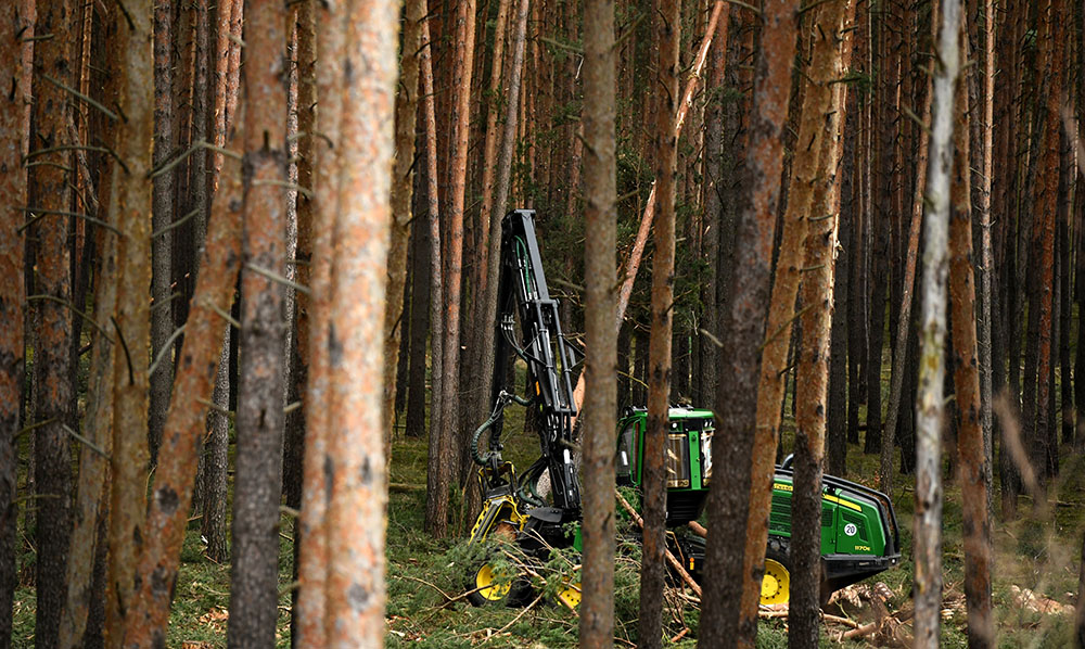 REUTERS/Annegret Hilse