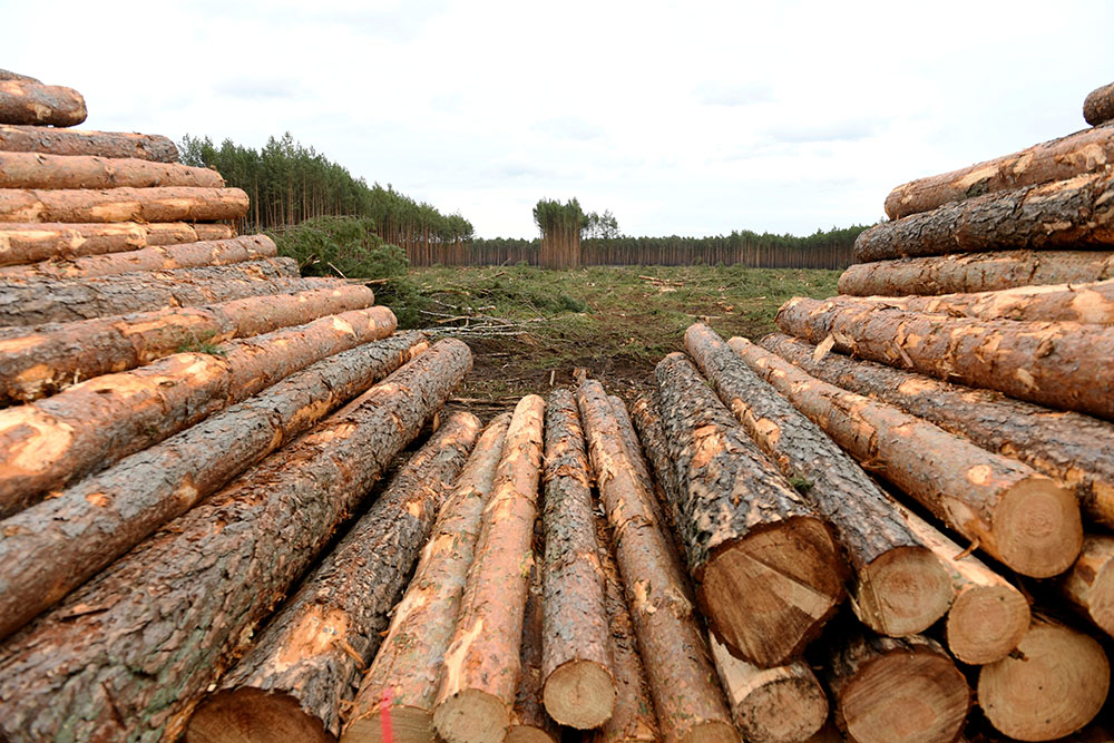 REUTERS ANNEGRET HILSE (11)