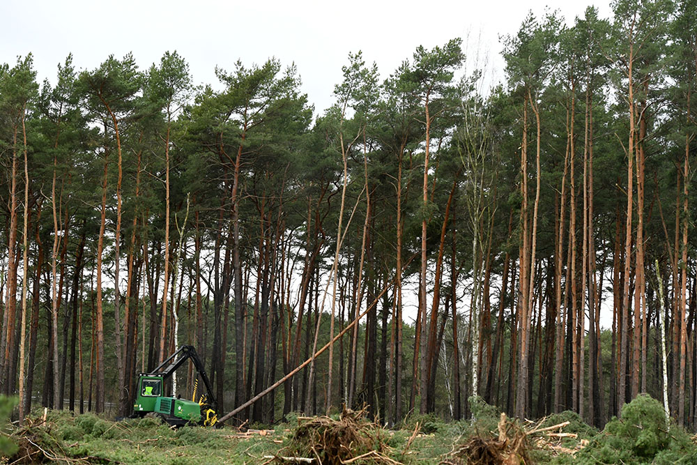 REUTERS/Annegret Hilse