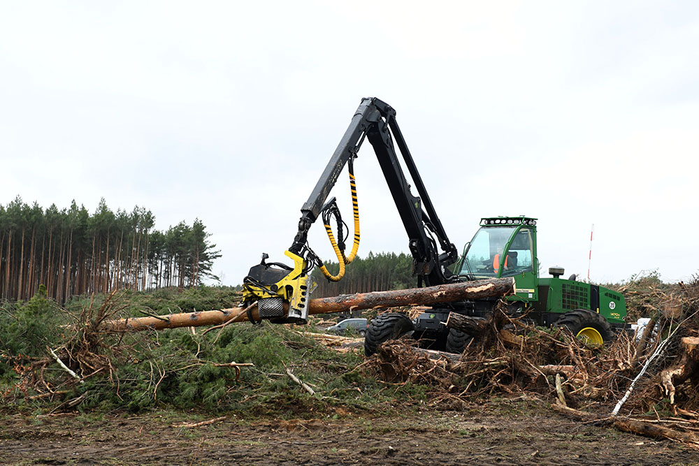 REUTERS/Annegret Hilse